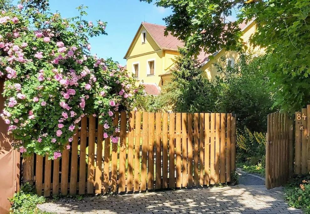 Apartment Makovna - Zapad *